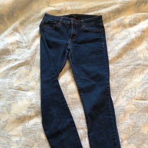 Joe’s Jeans The Skinny Dark Wash